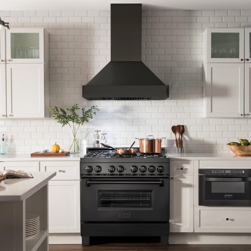 Zline BS655N30 Wall Mount Ducted Range Hood with LED Lights: Blac...