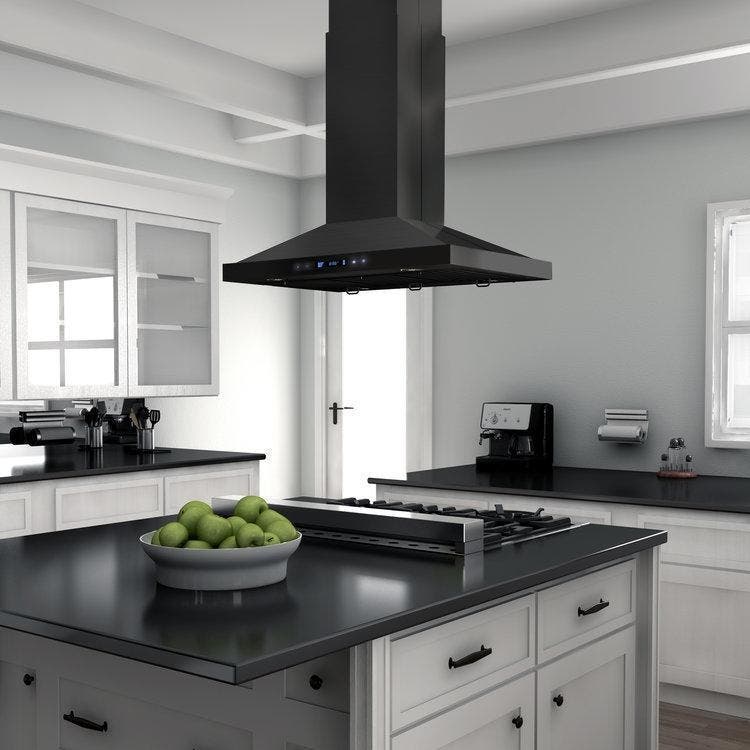 Zline BSGL2IN36 Black Stainless Steel, 36 Inch