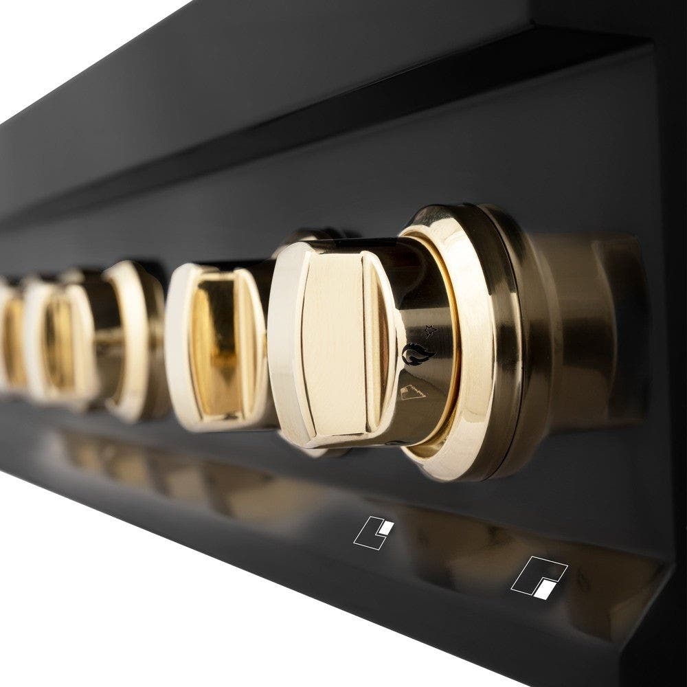 Zline RTBZ48G Black Stainless Steel And Gold Accents