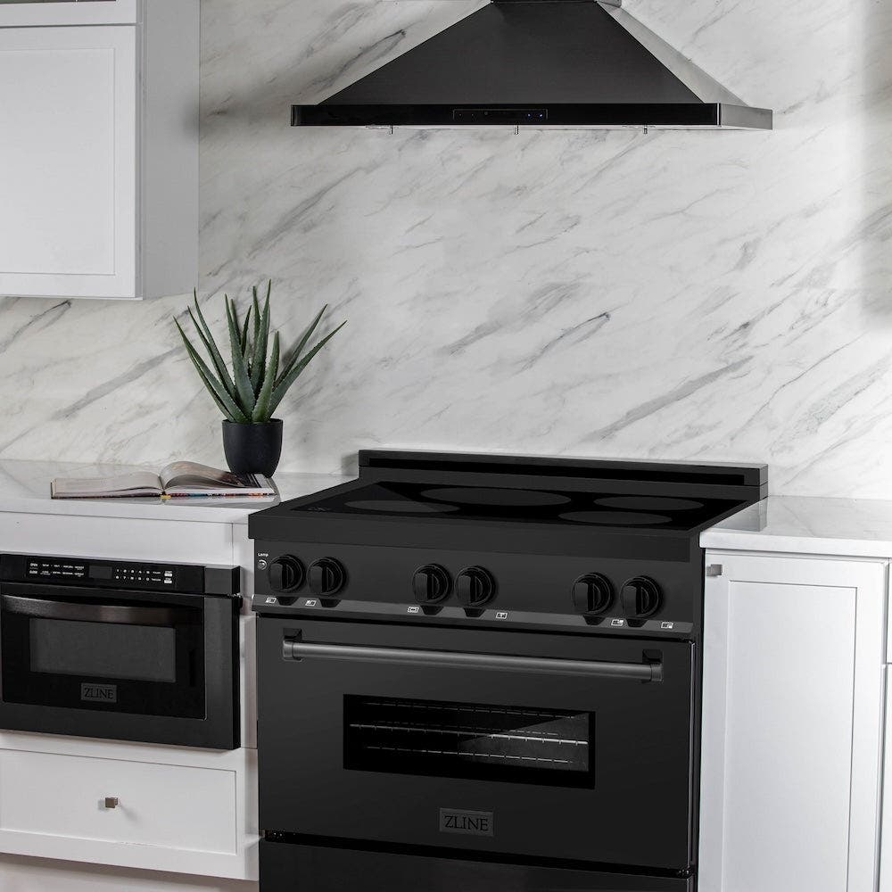 Zline RAINDBS36 Black Stainless Steel