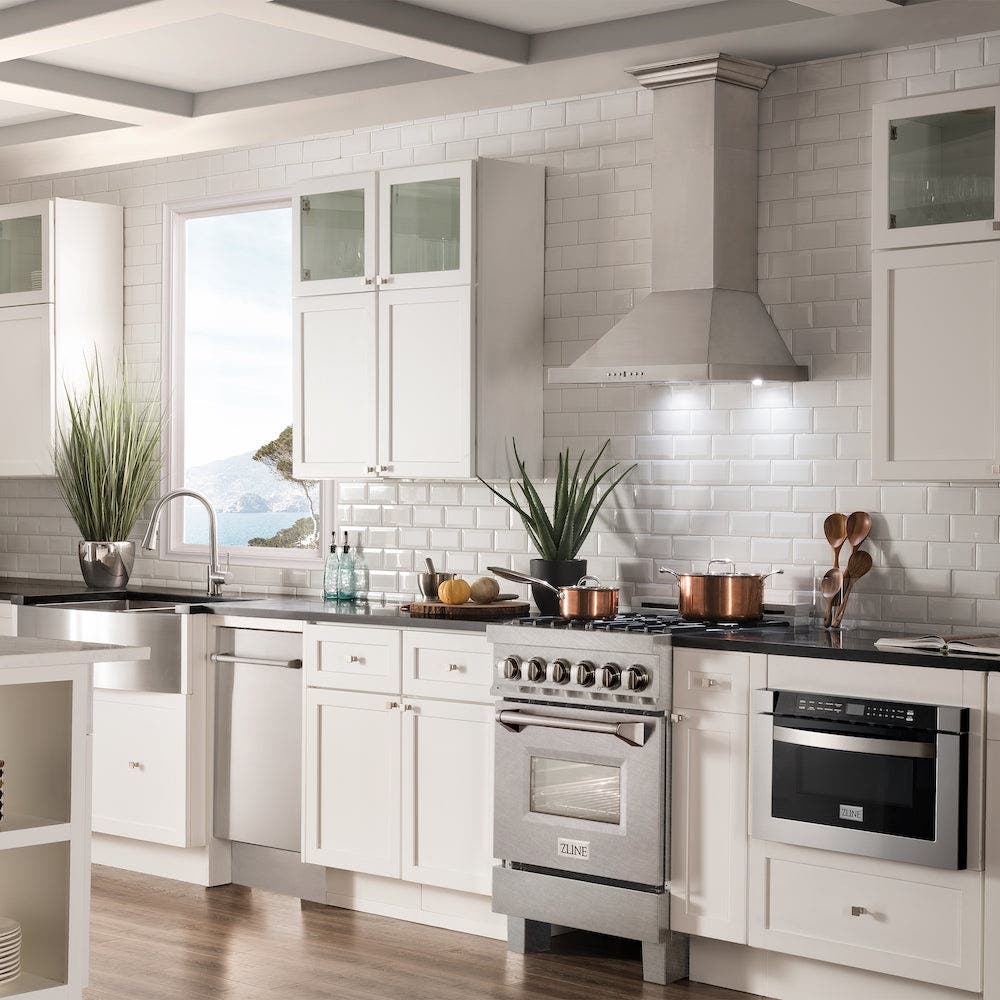 Zline RASSNBR24 Durasnowstainless Steel With Brass Burners