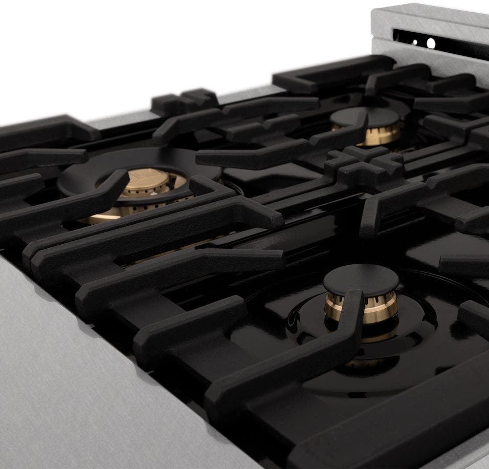 Zline RASSNBR24 Durasnowstainless Steel With Brass Burners