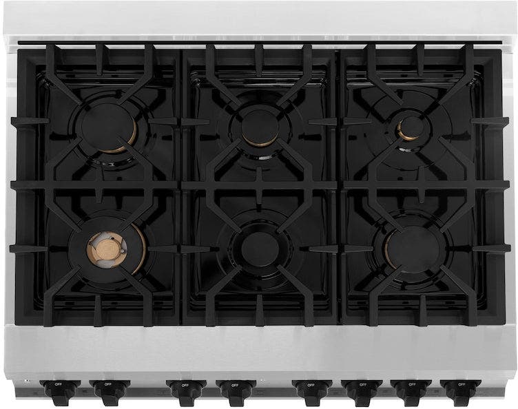 Zline RAZ36MB Stainless Steel with Matte Black Accents