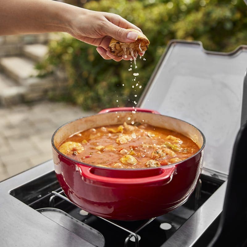Weber 1500041 Stainless Steel, Natural Gas