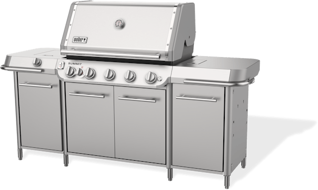 Weber 1500091 Stainless Steel, Liquid Propane