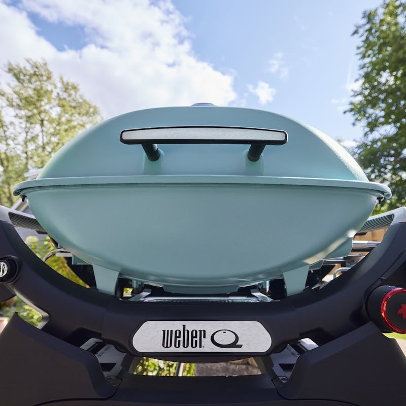 Weber 1500379 Q 2800N+ Gas Grill: Sky Blue