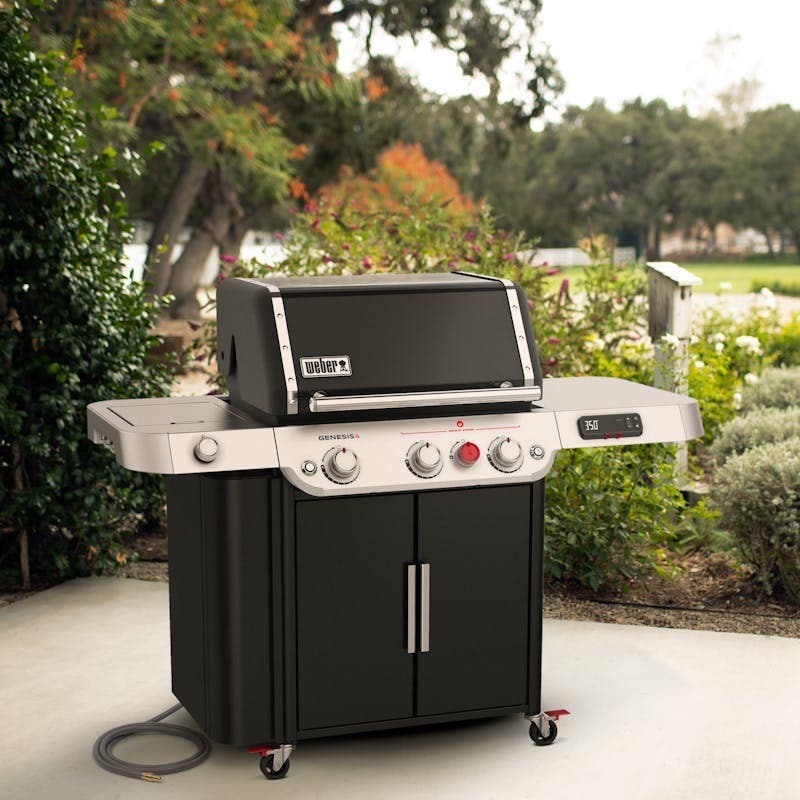 Weber 37810001 Natural Gas, Black