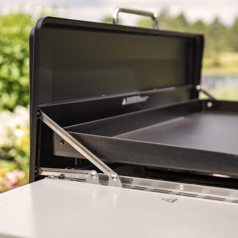 Weber 44310401 Liquid Propane, Black
