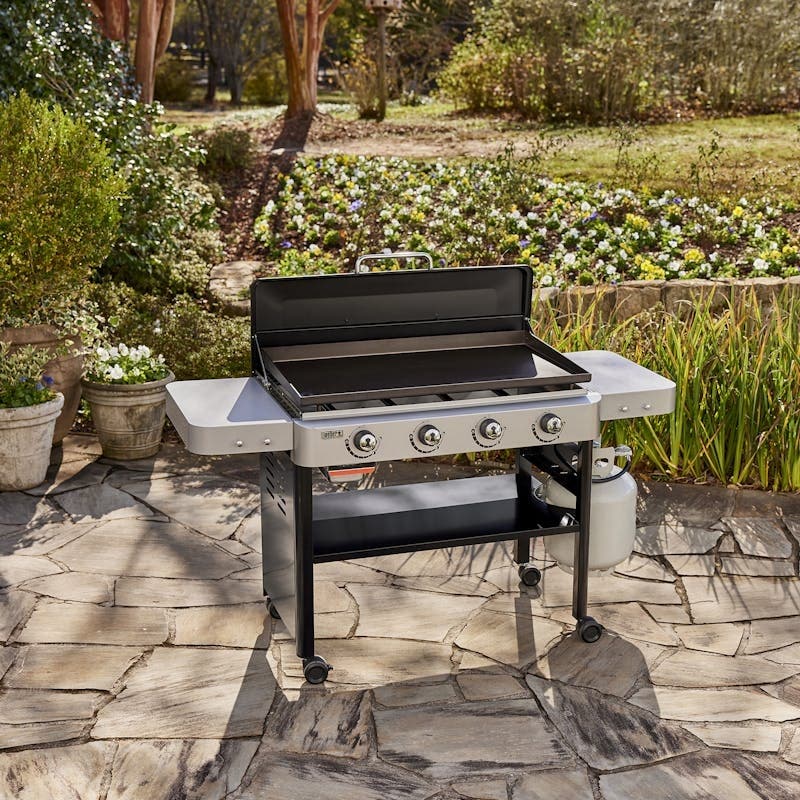 Weber 44310401 Liquid Propane, Black