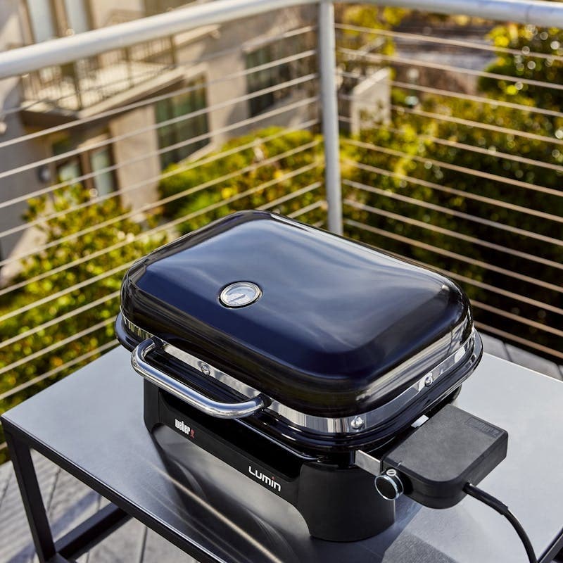 Weber 91400901 Ice Blue