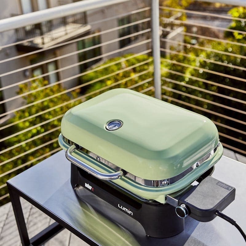 Weber 91070901 Seafoam Green