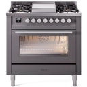 36 inch Dual Fuel Range Gas Burner Top and Electric Ovens