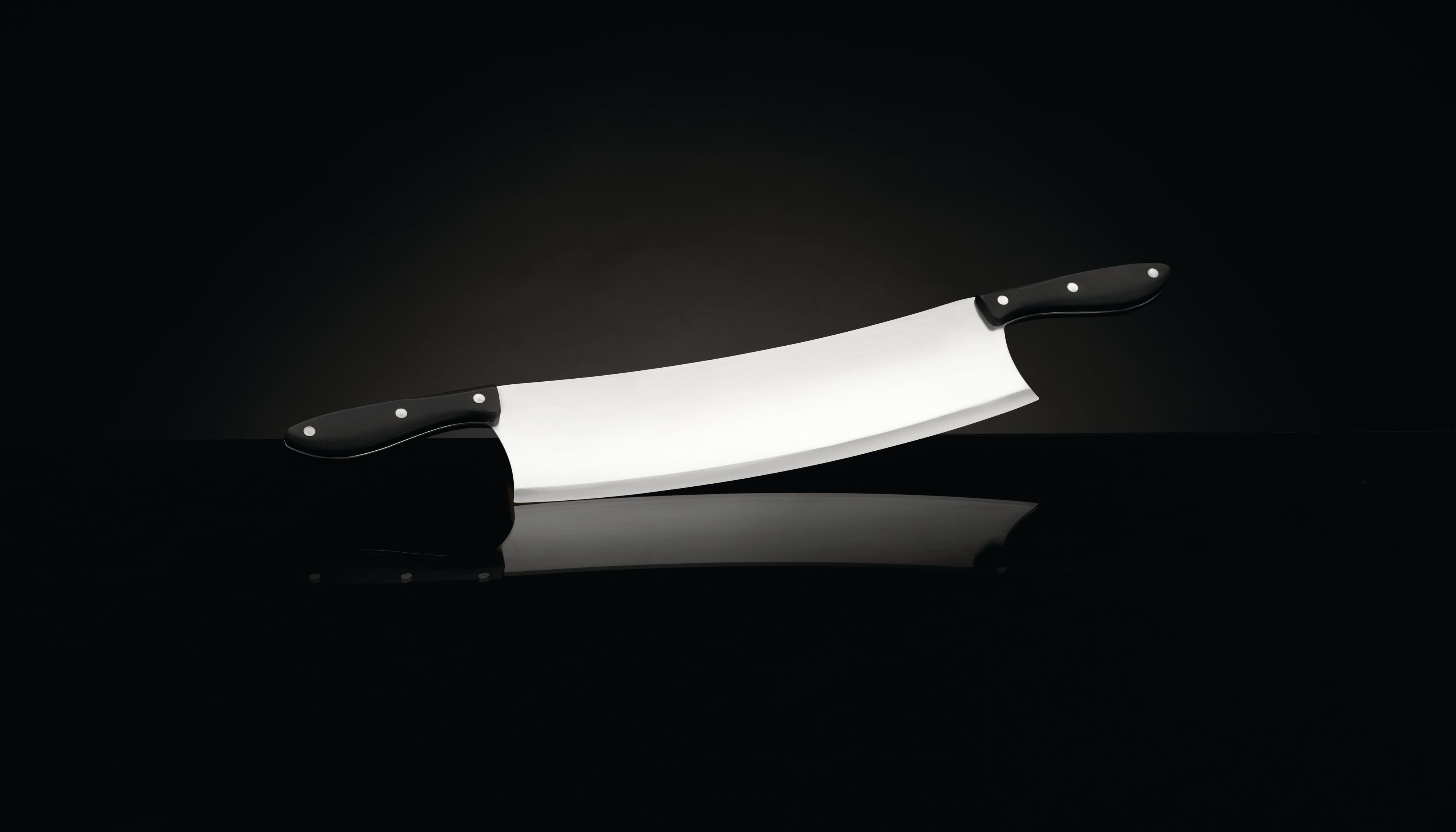 Napoleon 55209 Stainless Steel