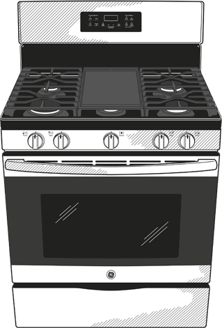 GE JGBS66FEKDS Black Slate
