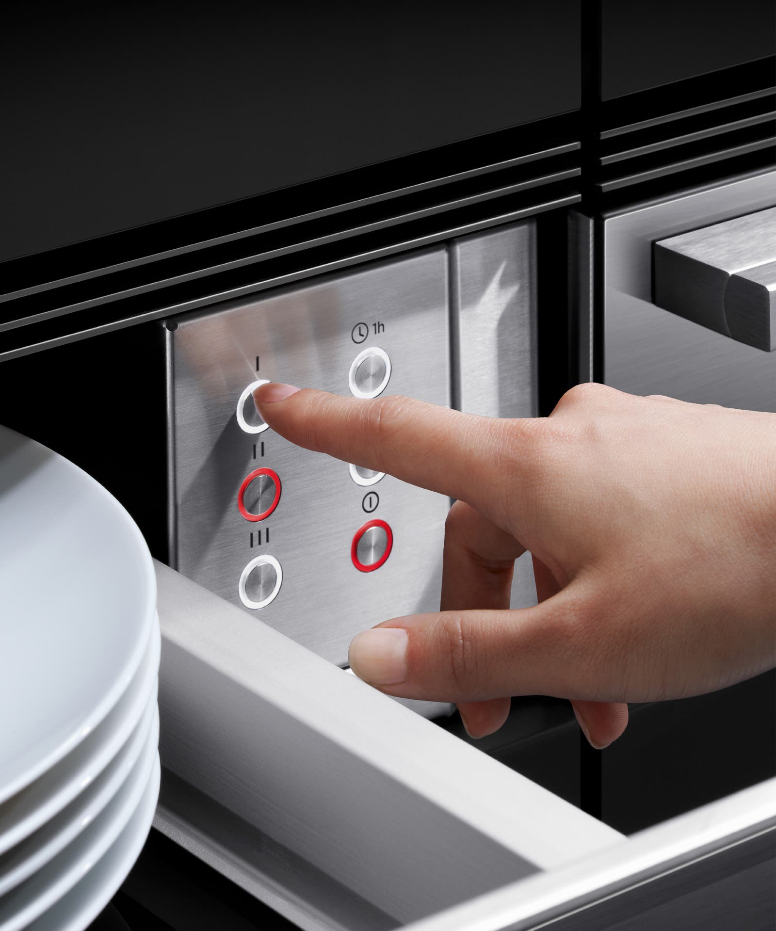 Fisher Paykel WB24SDEX2 Stainless Steel