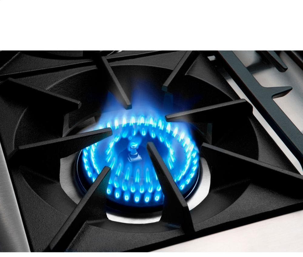 Capital Indoor CGSR366L Stainless Steel, Liquid Propane