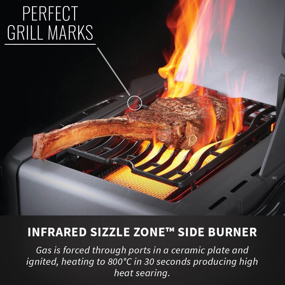 Napoleon P500RSIBPSS3 Stainless Steel with Liquid Propane