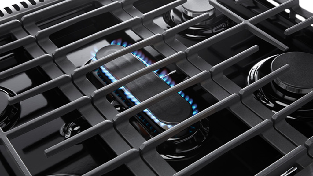 Thor LRG3001ULP Stainless Steel, Liquid Propane