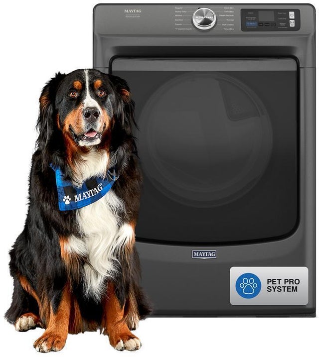 Maytag MGD7020RU 27 Inch Pet Pro Front Load Gas Dryer: Volcano Blac...