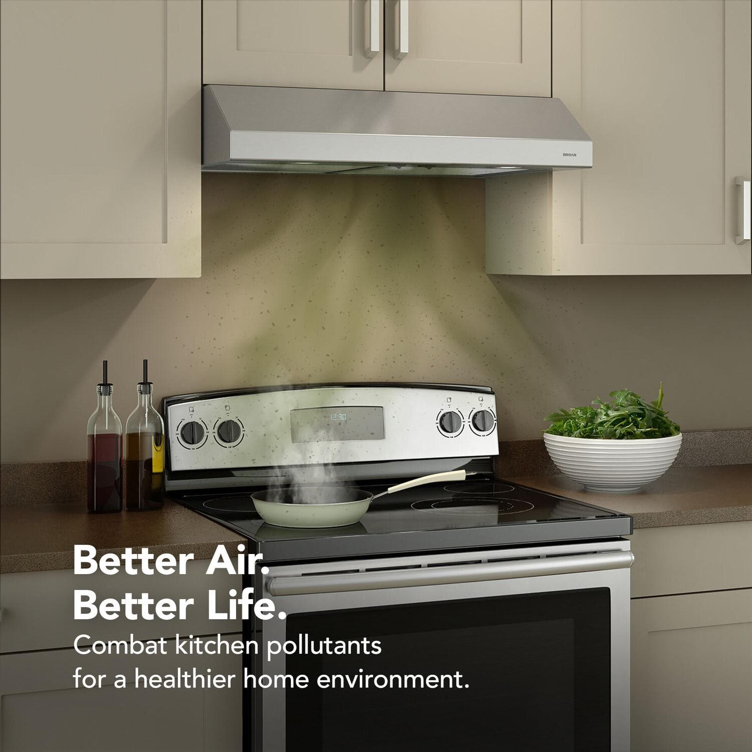 Broan BCSD142SS Stainless Steel, 42 Inch