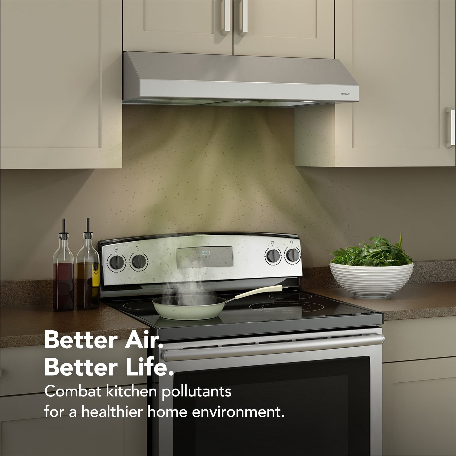 Broan BCSD142SS Stainless Steel, 42 Inch