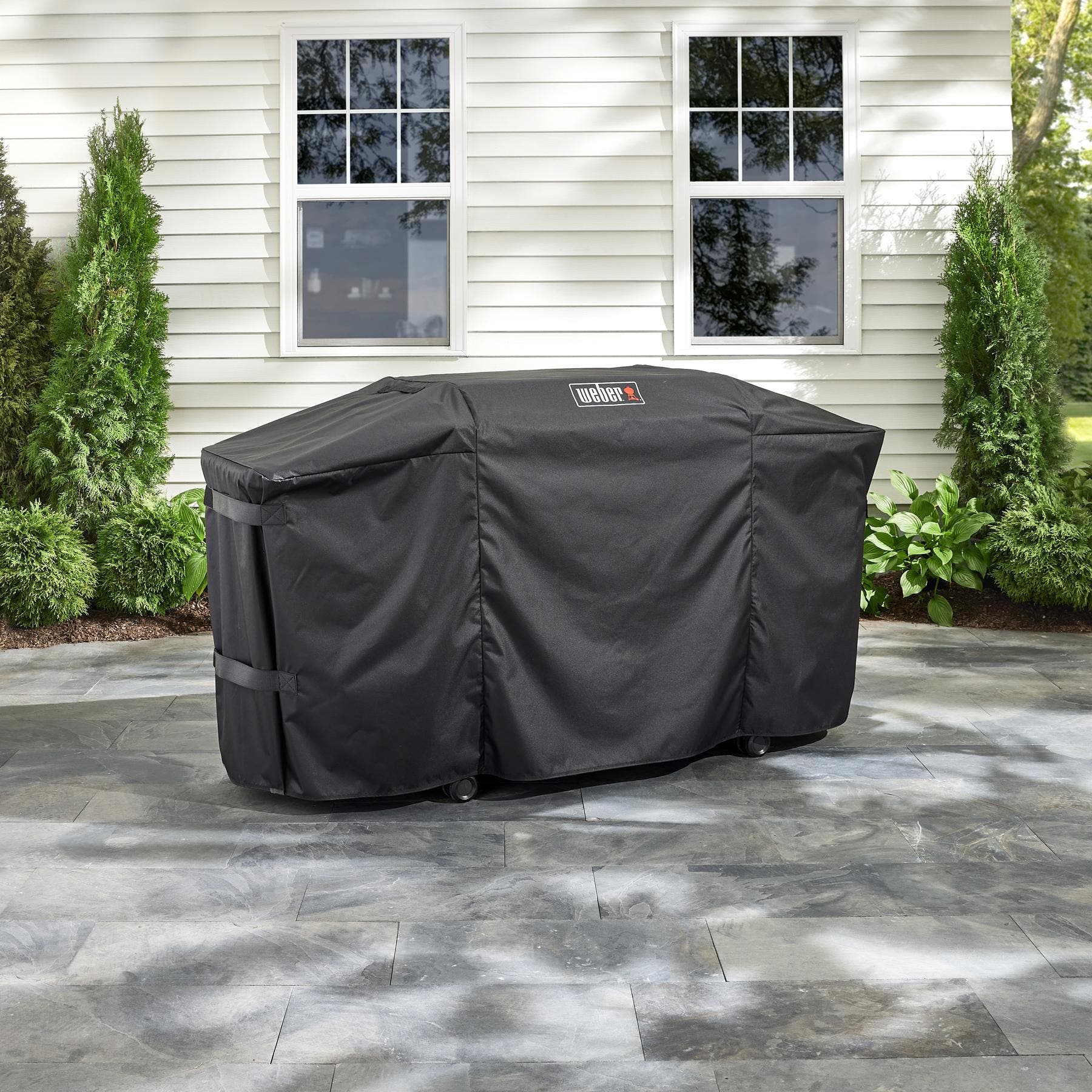 Weber 3400119 