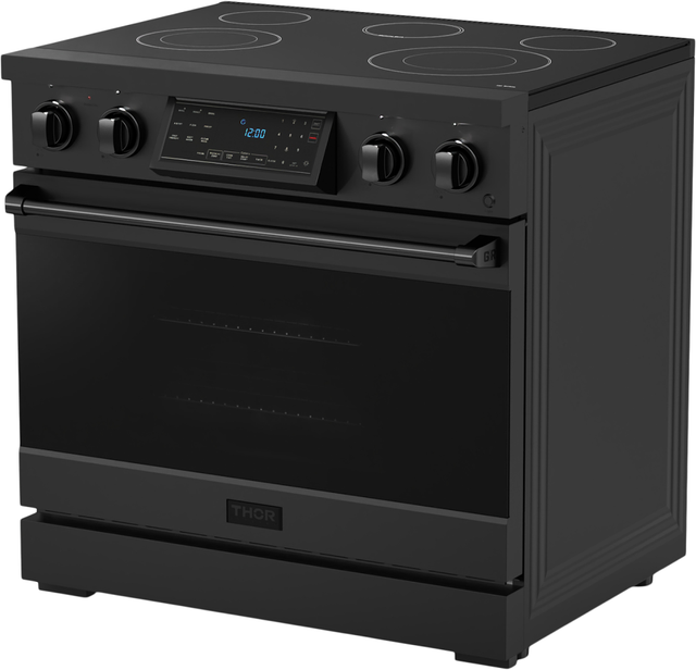 Thor RSE36B Gordan Ramsay 36 Inch Pro Style Electric Range in ...