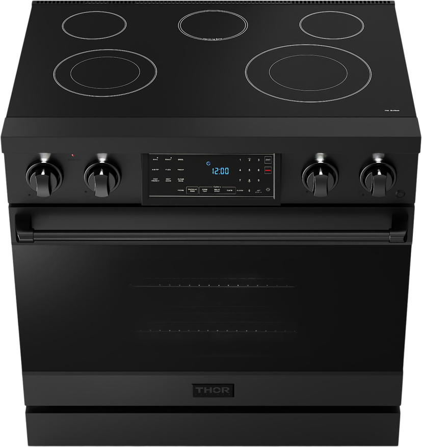 Thor RSE36B Gordan Ramsay 36 Inch Pro Style Electric Range in ...