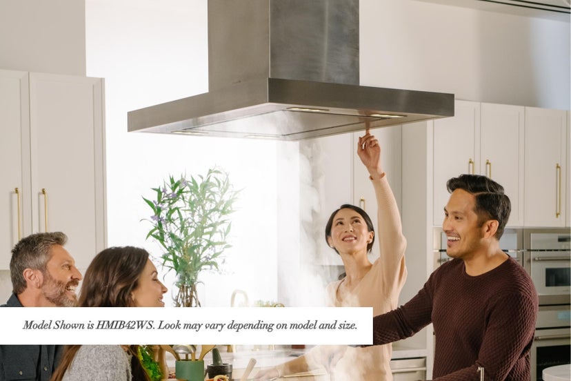 Thermador HPIN54WS Professional Island Range Hood with Multi-Level LE...