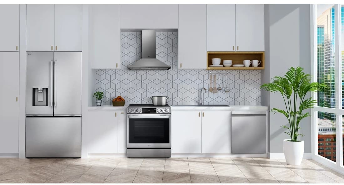 LG LF24Z6530S Printproof Stainless Steel