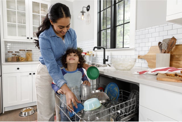 Hotpoint HDF310PGRBB 24 Inch Built-In Dishwasher with 2 Wash Cycles: Bl...