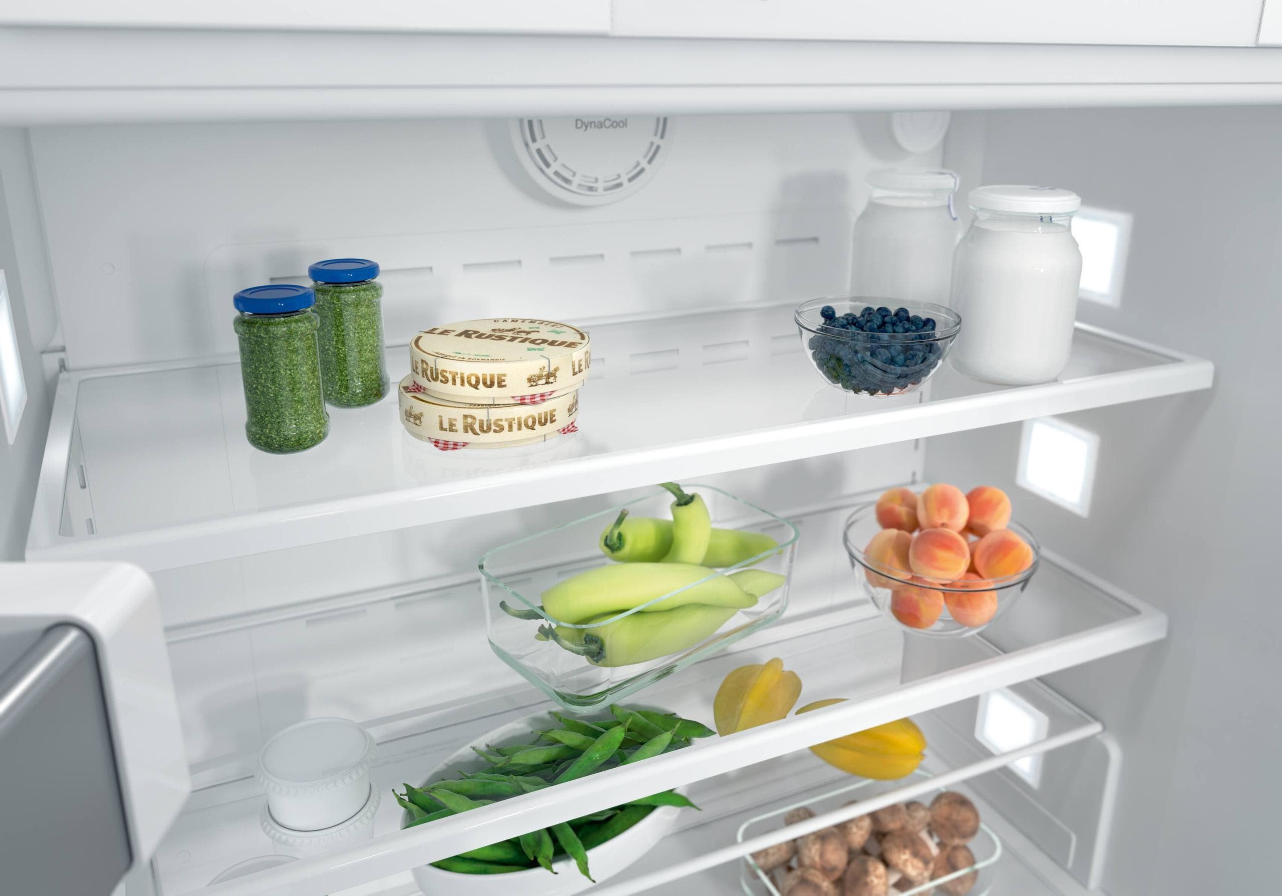 Miele KFNF9959IDE Panel Ready