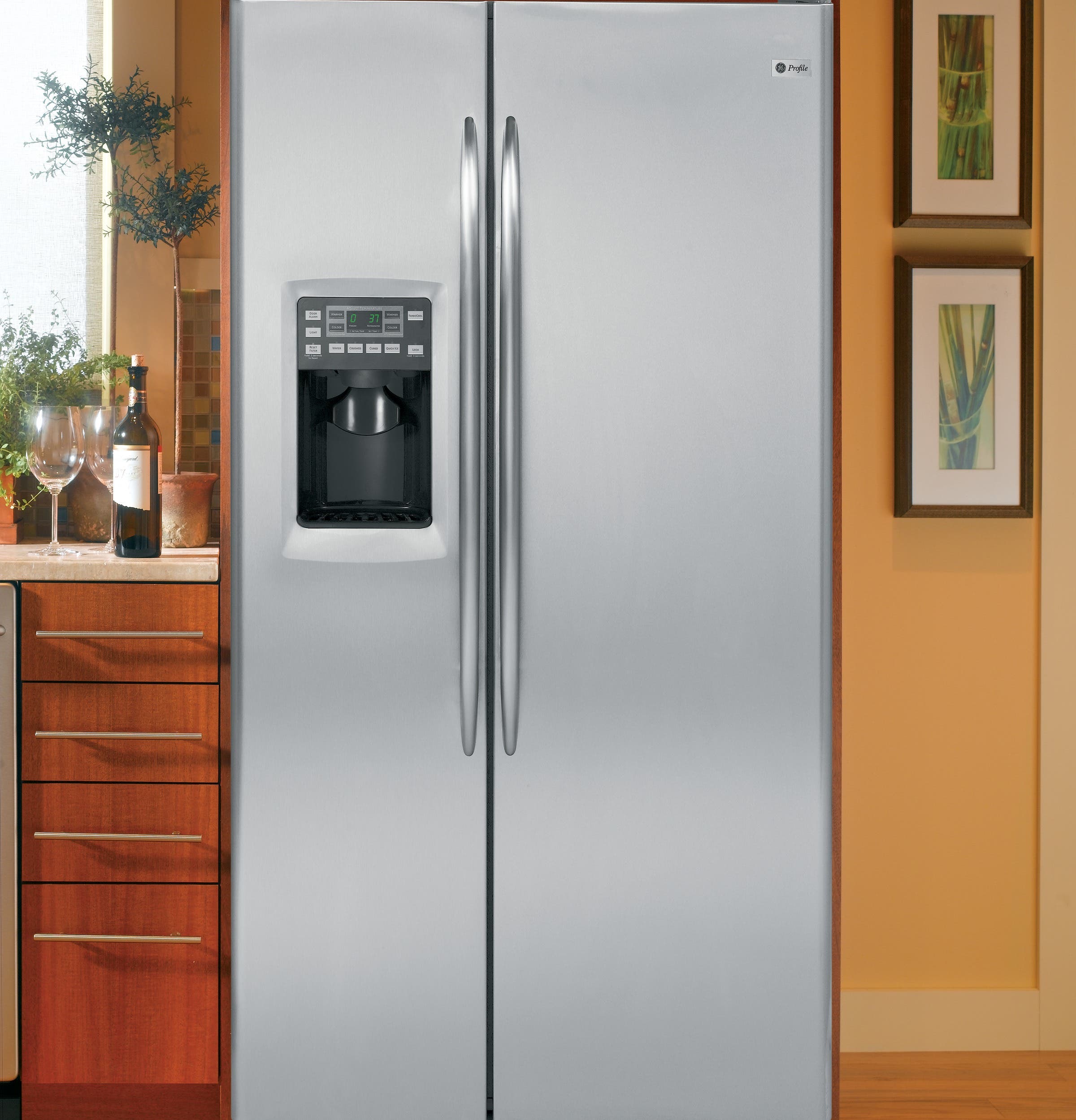 GE PSCS3RGXSS Stainless Steel