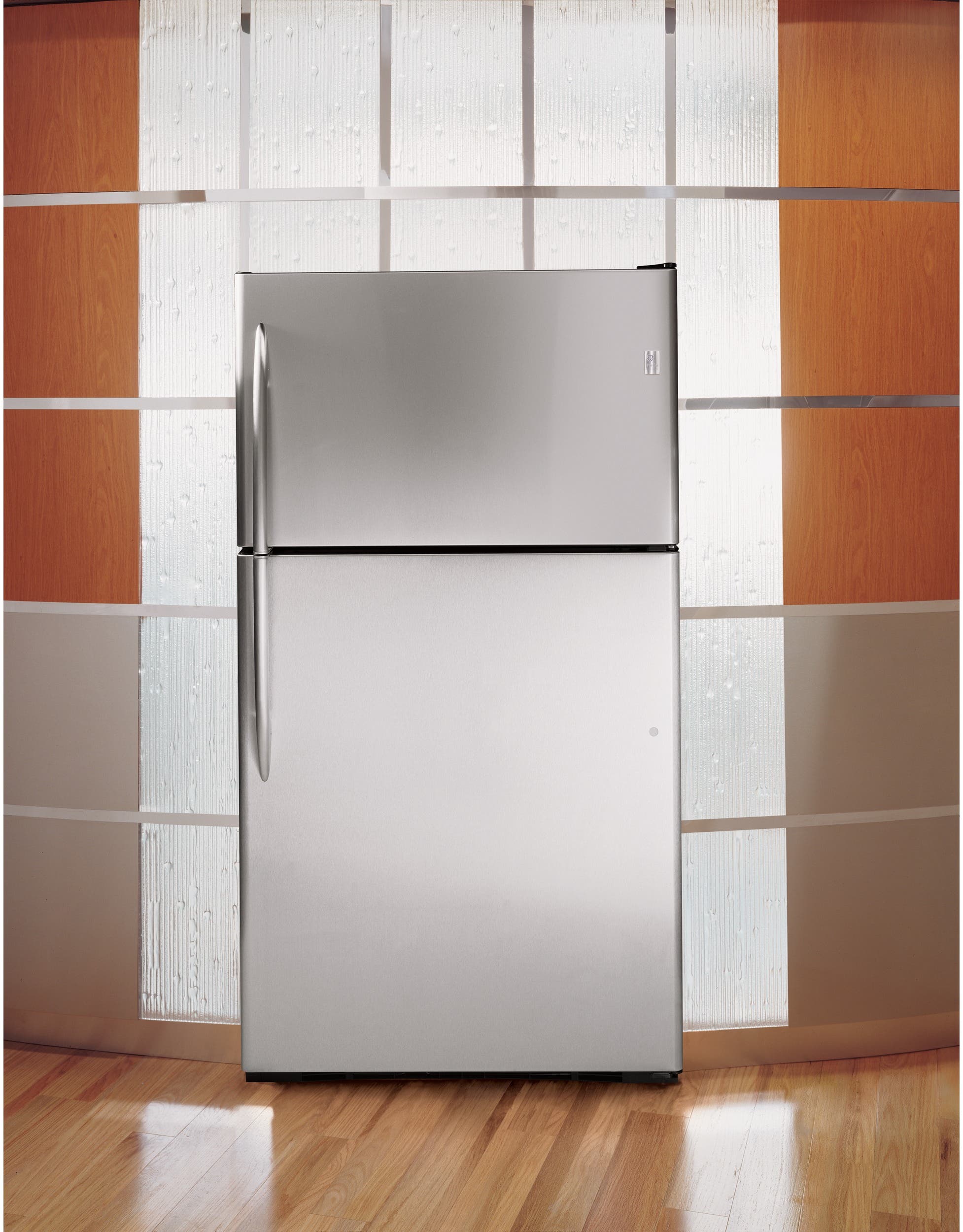 GE PTS25SHSSS Stainless Steel