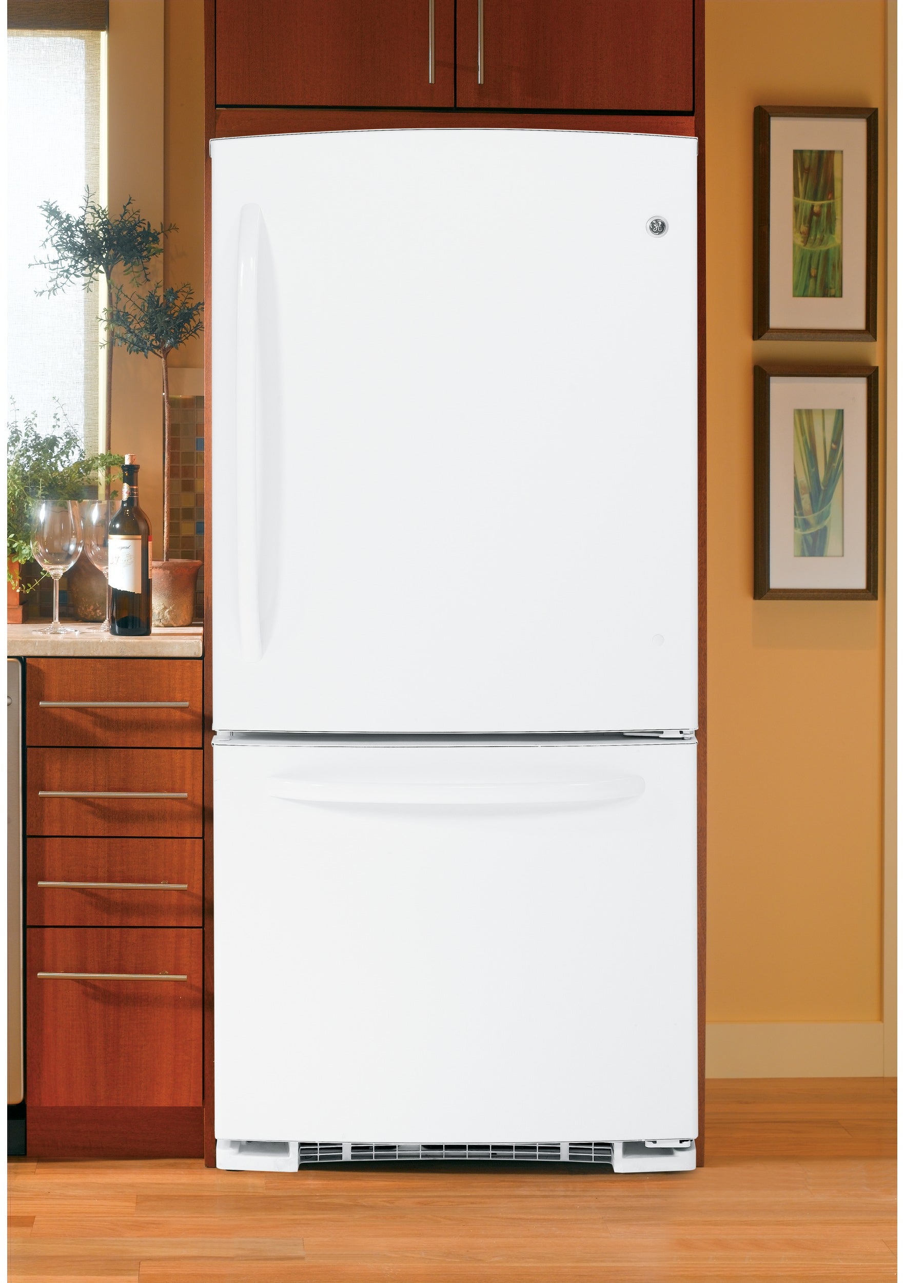 GE Refrigerator - Thumbnail 5