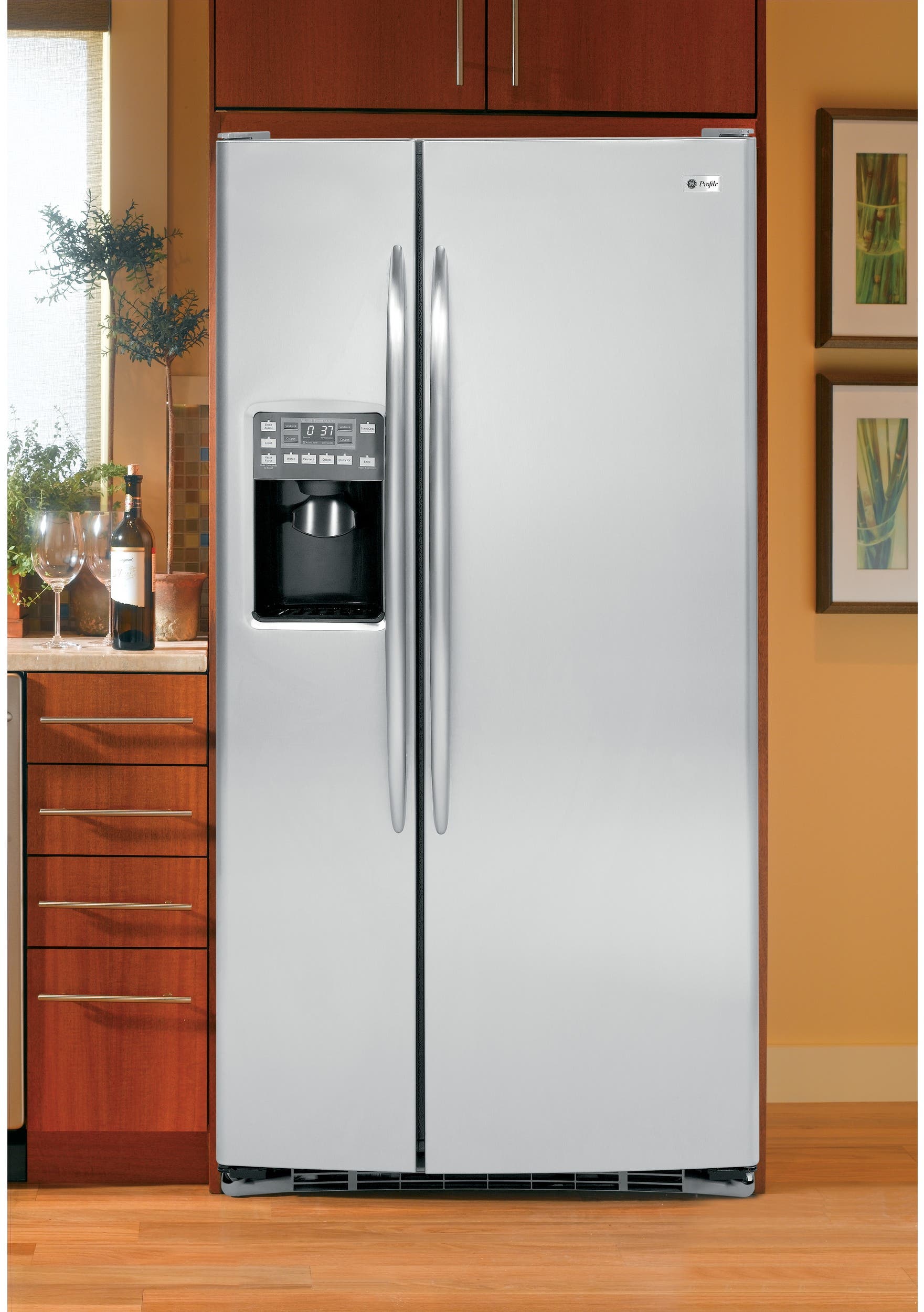 GE PSSS3RGZSS Stainless Steel