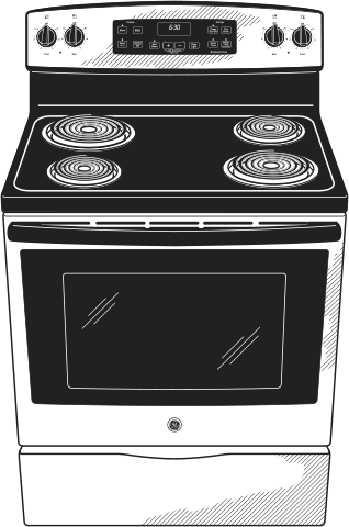 GE JB250GFSA Silver