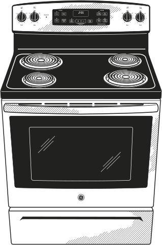 GE JB255GJSA Silver with Black accents