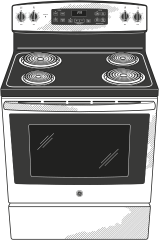 GE JB255RJSS Stainless Steel