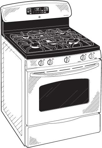 GE JGB600SETSS Stainless Steel