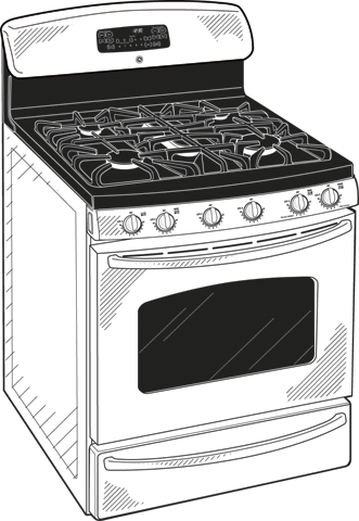 GE JGB800SEPSS Stainless Steel