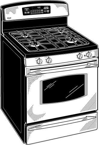 GE JGB900SELSS Stainless Steel