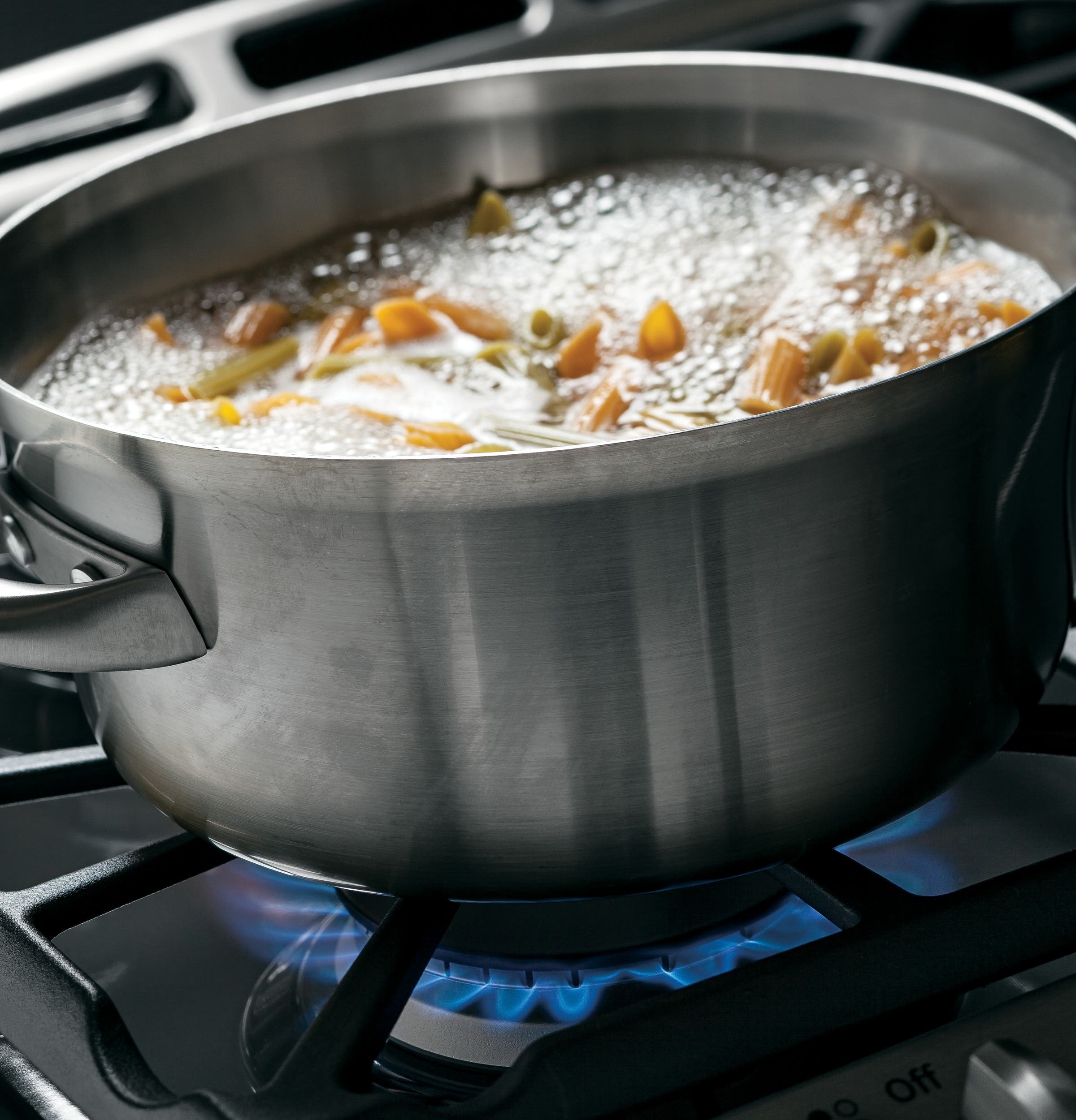 GE JGS650SEFSS Stainless Steel