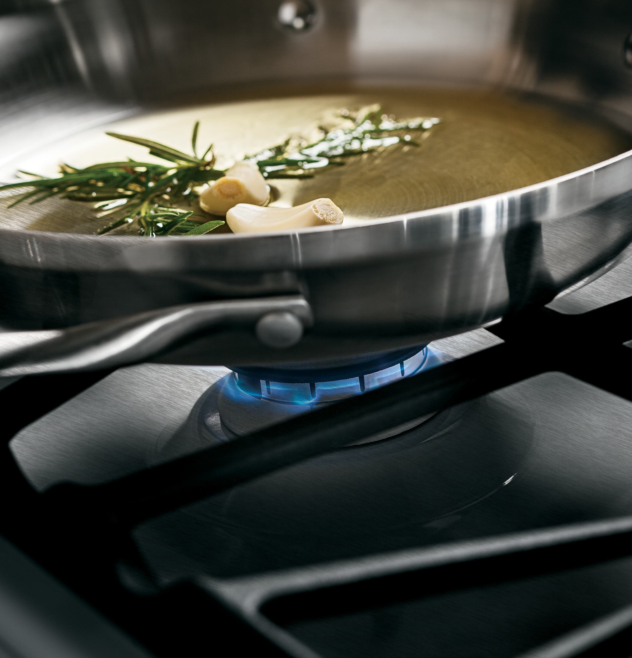 GE JGS750SEFSS Stainless Steel/gray