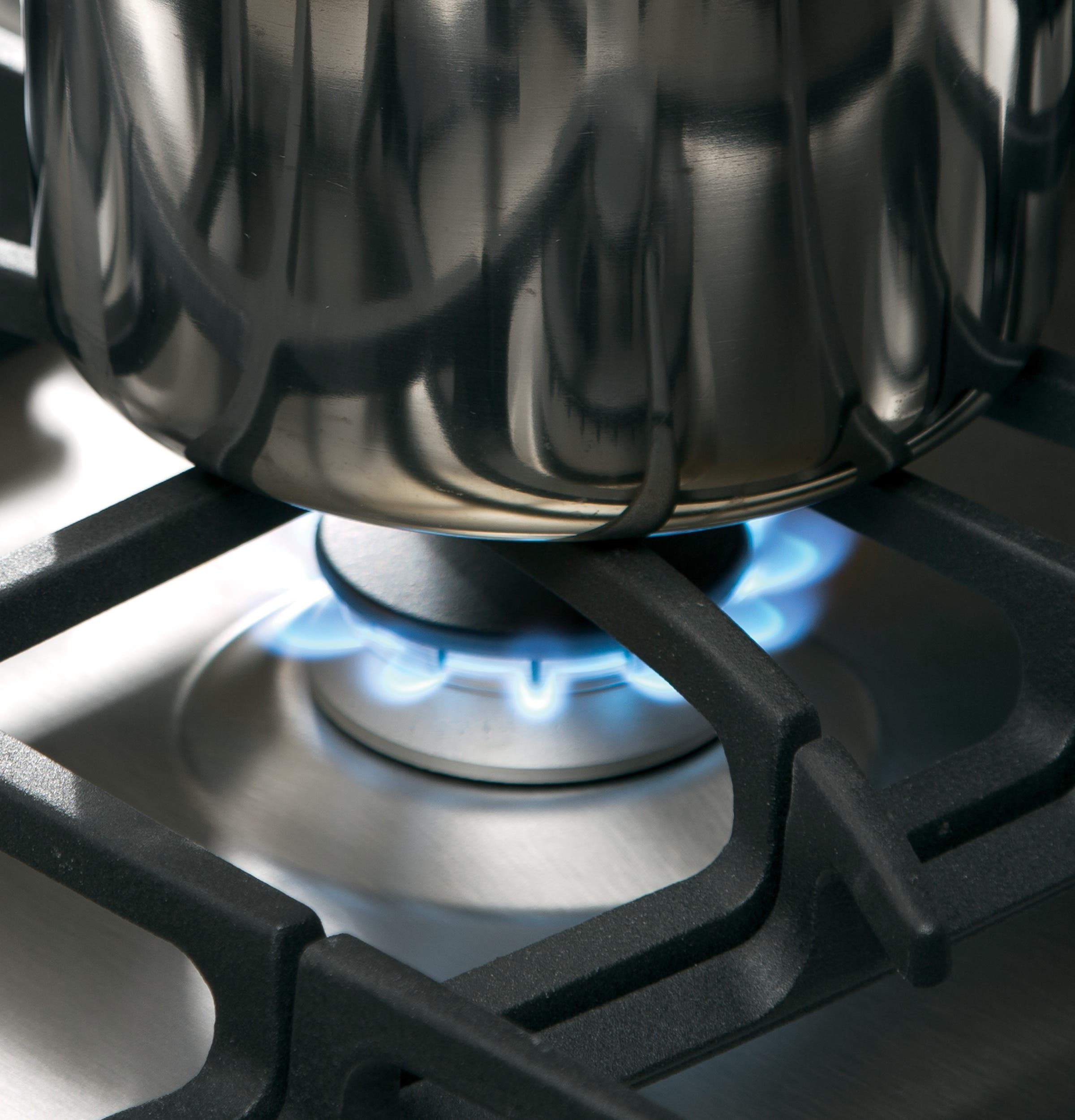 GE JGS750SEFSS Stainless Steel/gray
