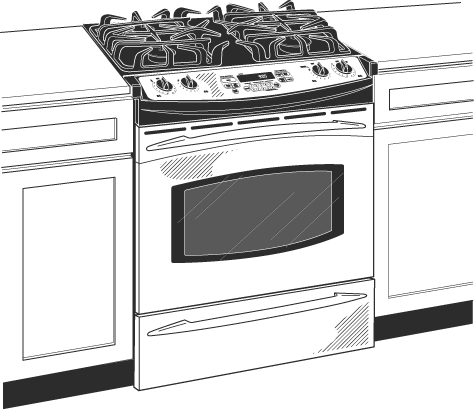 GE JGS905SEKSS Stainless Steel