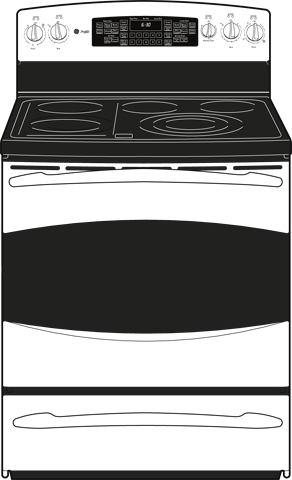 GE PB969SPSS Stainless Steel with Black Accents