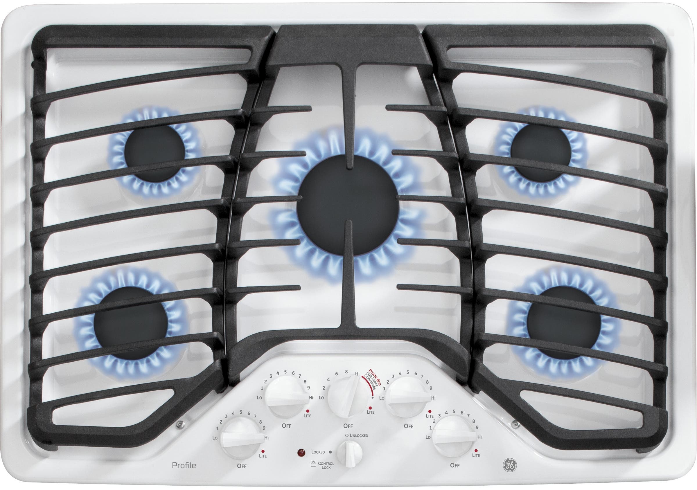 GE PGP953DETWW White
