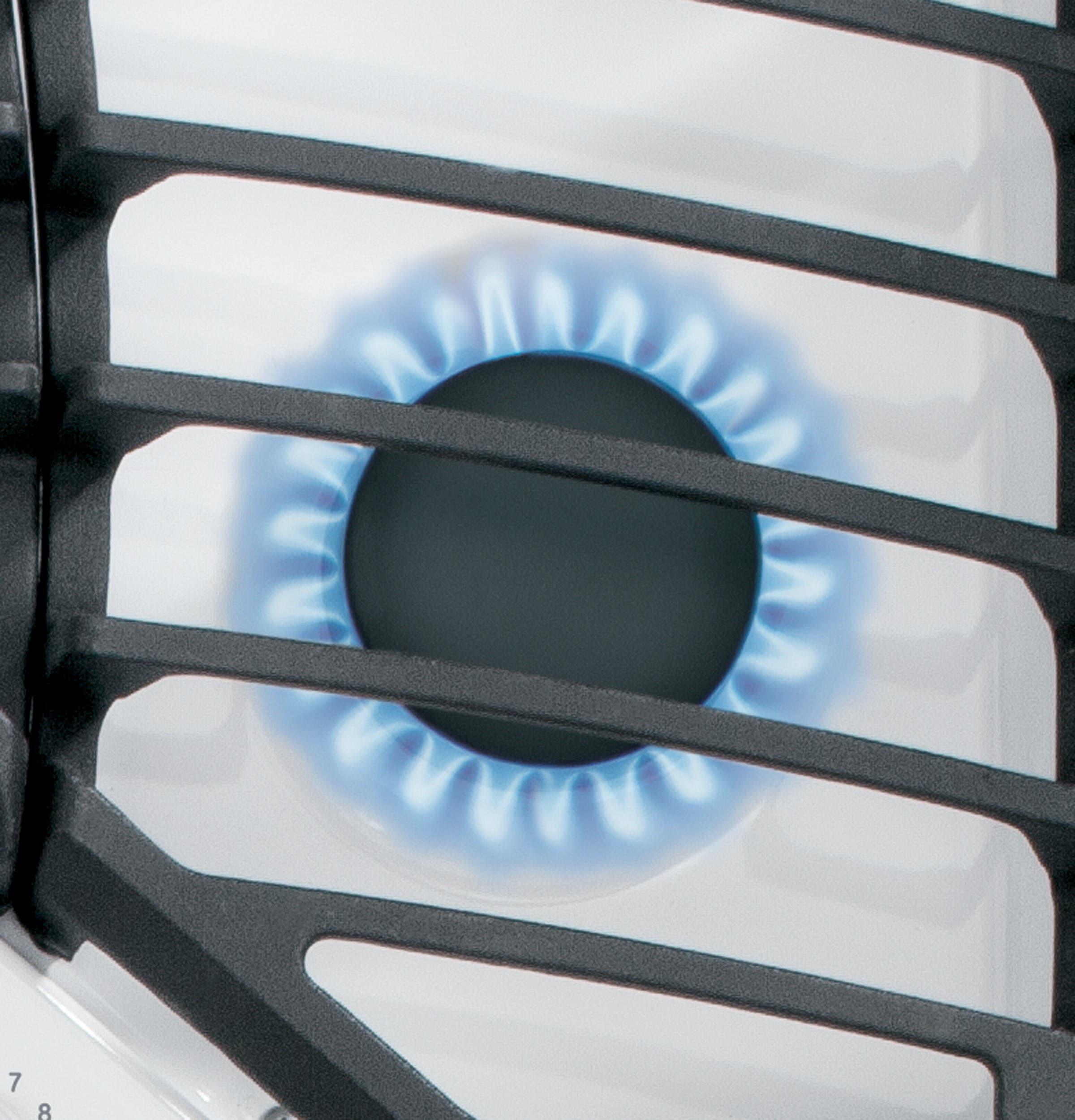 GE PGP953DETWW White