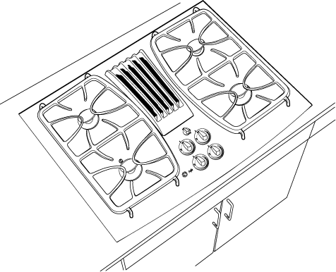 GE PGP989SNSS Stainless Steel